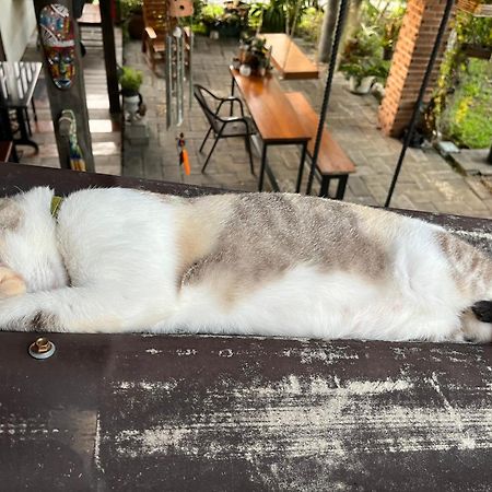 ครูหนูบ้านพัก แหลมงอบ Krunou Baanpak Трат Екстер'єр фото