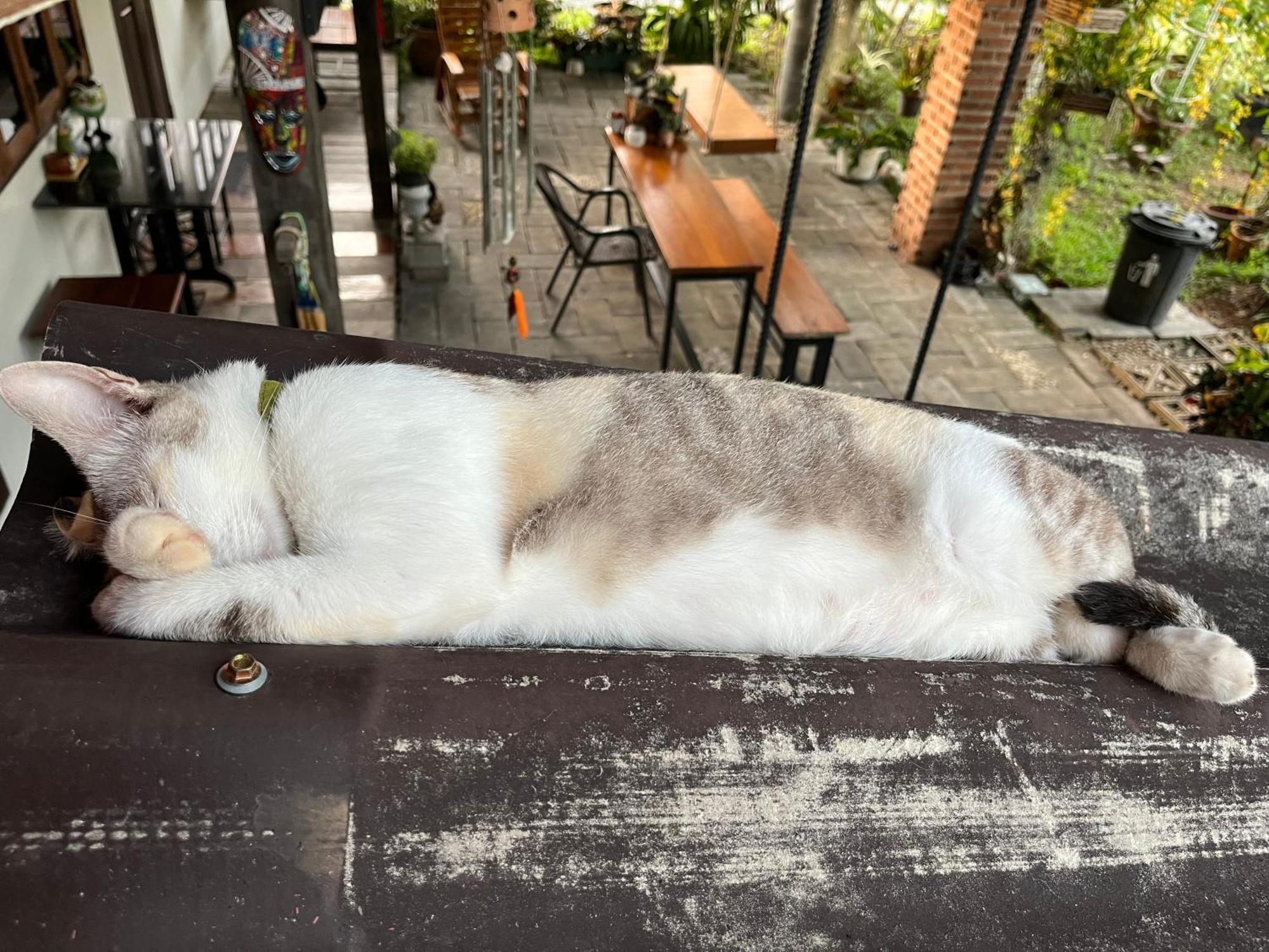 ครูหนูบ้านพัก แหลมงอบ Krunou Baanpak Трат Екстер'єр фото