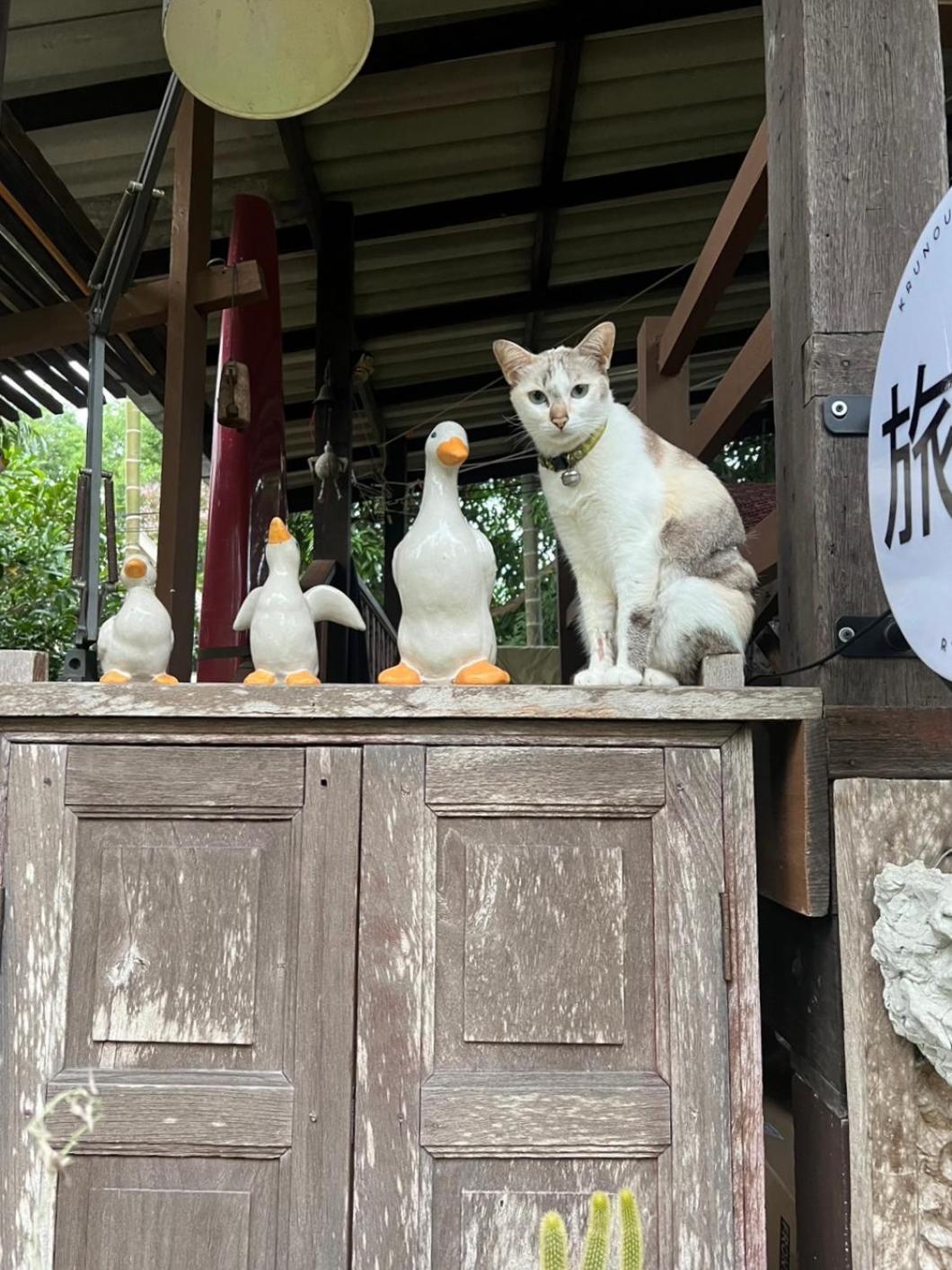 ครูหนูบ้านพัก แหลมงอบ Krunou Baanpak Трат Екстер'єр фото