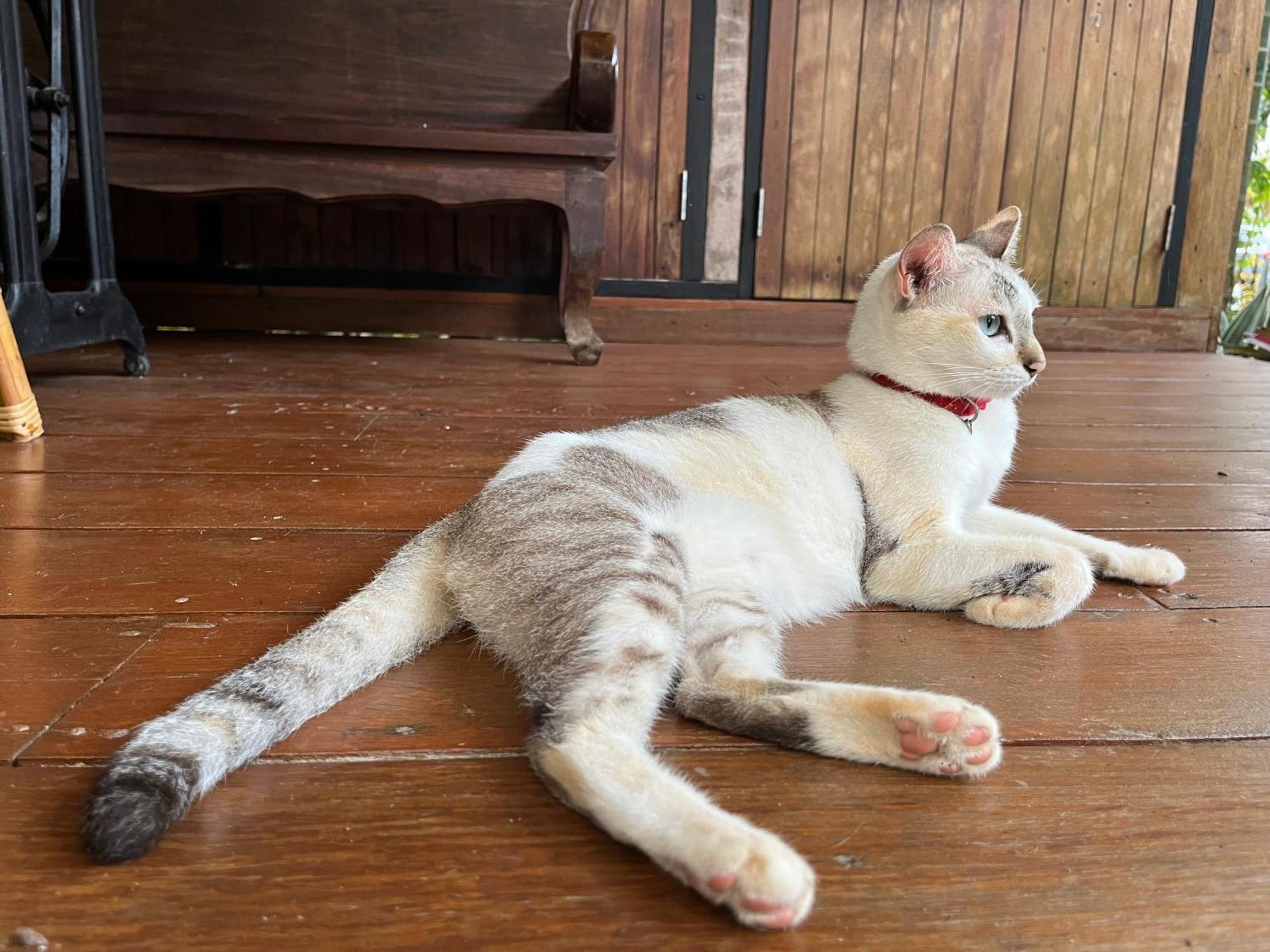 ครูหนูบ้านพัก แหลมงอบ Krunou Baanpak Трат Екстер'єр фото